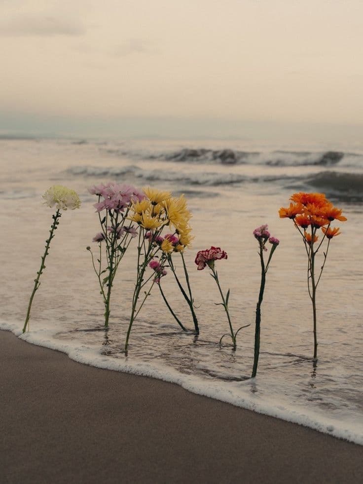 Services – a tua terapeuta (your therapist)